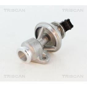 Compre Válvula EGR da TRISCAN 8813 44010 a um preço baixo por 477,36 €