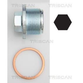 Verschlußschraube, Ölwanne 9500 2908 von TRISCAN günstig für 6,50 € online kaufen