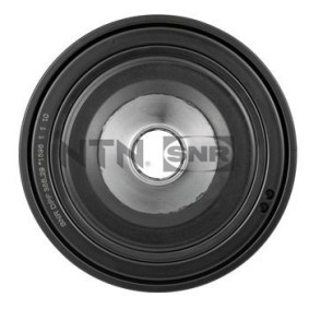 Riemenscheibe, Kurbelwelle DPF355.29 für RENAULT