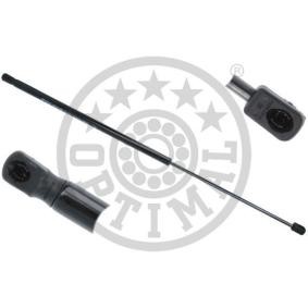 Heckklappendämpfer AG-40237