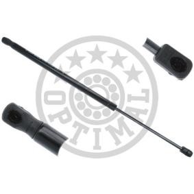 Heckklappendämpfer AG-40311