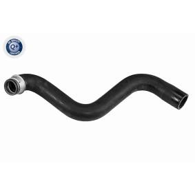 Compre Tubo flexível do radiador da VAICO V42-0761 a um preço baixo por 41,52 €