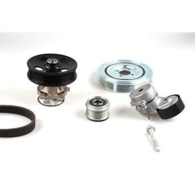 Wasserpumpe + Keilrippenriemensatz für ALFA ROMEO von HEPU