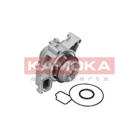 Achetez des Pompe à eau KAMOKA T0007 à prix pour 61,66 €