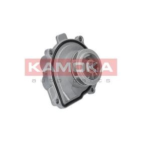 Achetez des Pompe à eau KAMOKA T0009 à prix pour 34,83 €