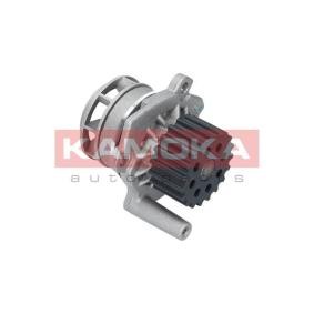 Achetez des Pompe à eau KAMOKA T0020 à prix pour 33,09 €
