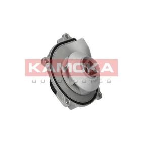 Osta Vesipumppu KAMOKA:llä T0074 edullisesti hintaan 50,85 €