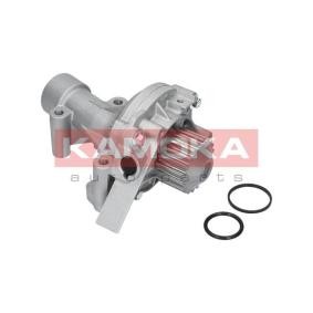Achetez des Pompe à eau KAMOKA T0090 à prix pour 63,05 €