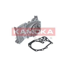 Achetez des Pompe à eau KAMOKA T0102 à prix pour 38,70 €