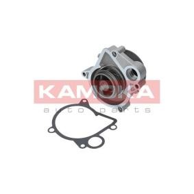 Achetez des Pompe à eau KAMOKA T0103 à prix pour 32,94 €