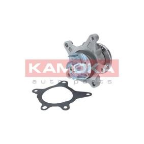 Achetez des Pompe à eau KAMOKA T0154 à prix pour 931,40 €