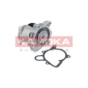 Achetez des Pompe à eau KAMOKA T0173 à prix pour 57,27 €