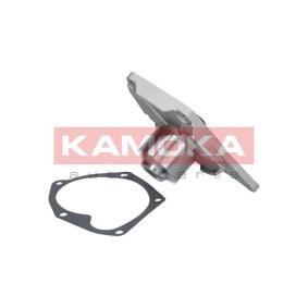 Achetez des Pompe à eau KAMOKA T0214 à prix pour 33,09 €