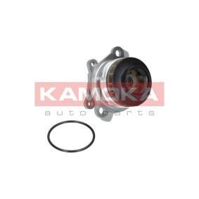 Achetez des Pompe à eau KAMOKA T0222 à prix pour 35,19 €