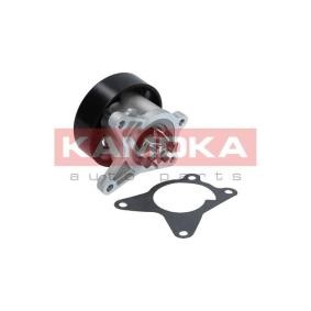Achetez des Pompe à eau KAMOKA T0223 à prix pour 37,27 €