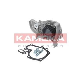 Achetez des Pompe à eau KAMOKA T0243 à prix pour 31,94 €