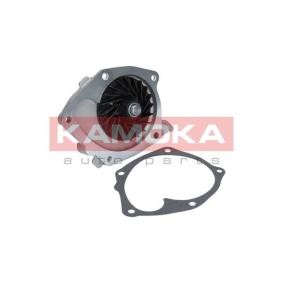 Achetez des Pompe à eau KAMOKA T0245 à prix pour 37,99 €