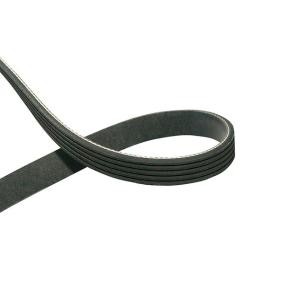 Compre Correia trapezoidal estriada da KAVO PARTS DMV-7506 a um preço baixo por 58,82 €