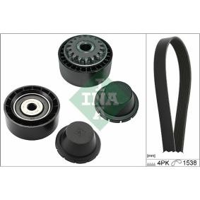 Acquista Kit Cinghie Poly-V da INA 529 0280 10 a buon mercato per soli 80,77 €