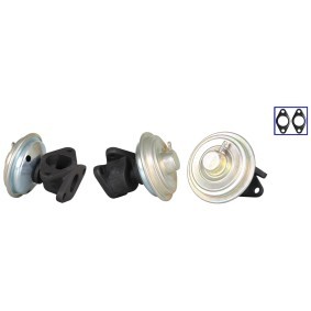 Compre Válvula egr de ELSTOCK online para Grand Voyager IV (RG, RS) a preços moderados