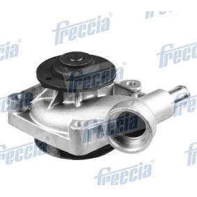 Wasserpumpe von FRECCIA