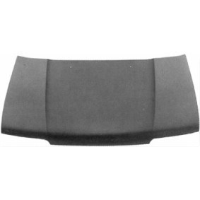 Motorhaube 3347660