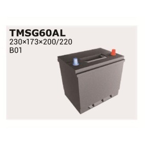 Achetez des Batterie IPSA TMSG60AL à prix pour 95,66 €
