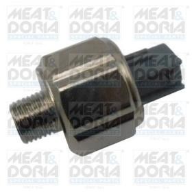Klopfsensor 875013
