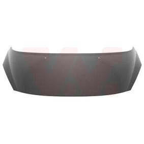 Motorhaube 4029660