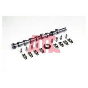 Nockenwellensatz 647351K von AMC günstig für 430,59 € online kaufen
