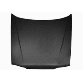 Motorhaube 4320660