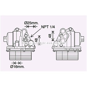 Acquista Radiatore olio motore da PRASCO PE3400H a buon mercato per soli 75,21 €