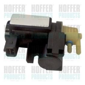 Compre Transmissor de pressão, controlo dos gases de escape da HOFFER 8029739 a um preço baixo por 155,80 €