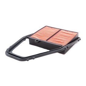 Luftfilter 1689K-LF-PCS-MS