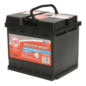 Batterie 780484502 für SSANGYONG