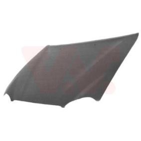 Motorhaube 5392660 für TOYOTA