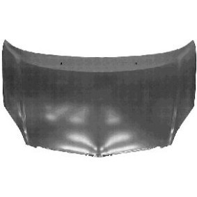 Motorhaube 5394660