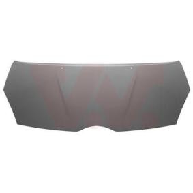 Motorhaube 5398660