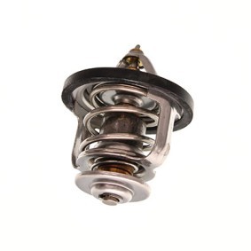 Kühlwasserthermostat 67-0063