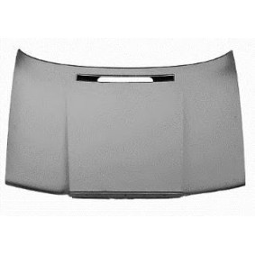 Acquista Cofano da VAN WEZEL 7616660 a buon mercato per soli 282,90 €