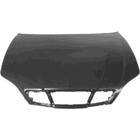 Motorhaube 8122660