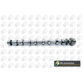 Nockenwelle für RENAULT von BGA