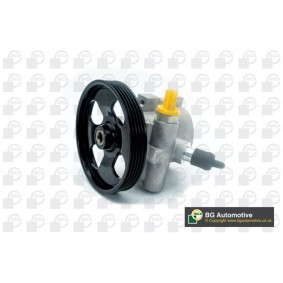 Servopumpe PSP1401 für PEUGEOT