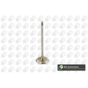 Compre Válvula de admisión de BGA online para Z4 Roadster (E89) a precios moderados