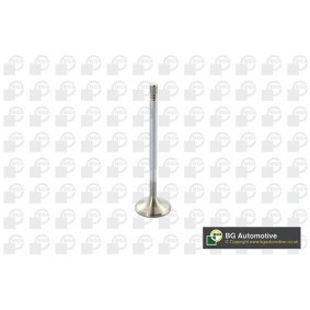 Einlaßventil für MERCEDES-BENZ von BGA