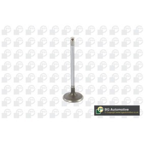 Einlaßventil V560201