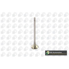 Comprar Válvula de escape de BGA V591501 a bajo precio de 9,03 €