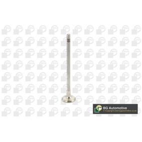 Comprar Válvula de escape de BGA V737875 a bajo precio de 10,84 €