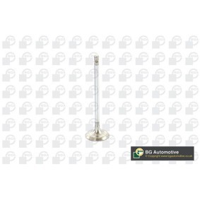 Comprar Válvula de admisión de BGA V917010 a bajo precio de 19,43 €