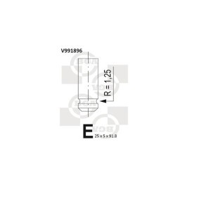 Auslaßventil V991896